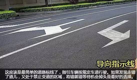 建议收藏,史上最全的路面标志线,看完你就是老司机了~